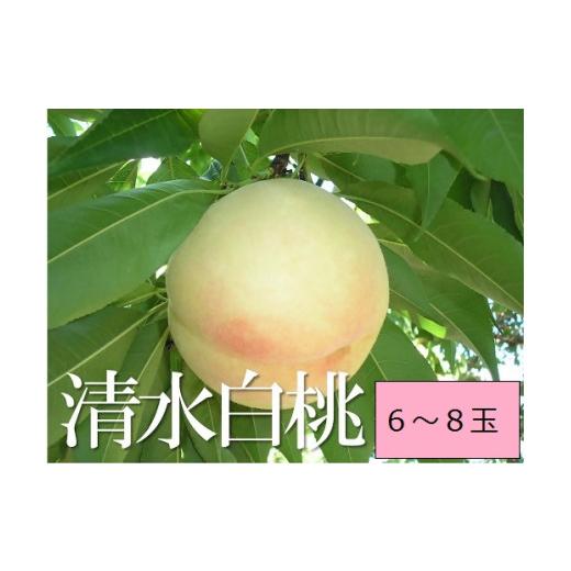 ふるさと納税 もも 岡山県 和気町 2026年発送 白桃(清水白桃) 約2.0kg 6〜8個 化粧箱入り 岡山県産 桃 もも フルーツ 産地直送 送料無料 行-2