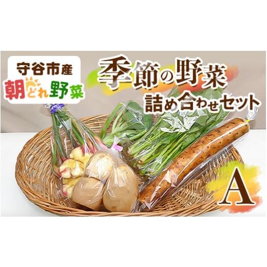 ふるさと納税 セット・詰合せ 茨城県 守谷市 季節の野菜セットA
