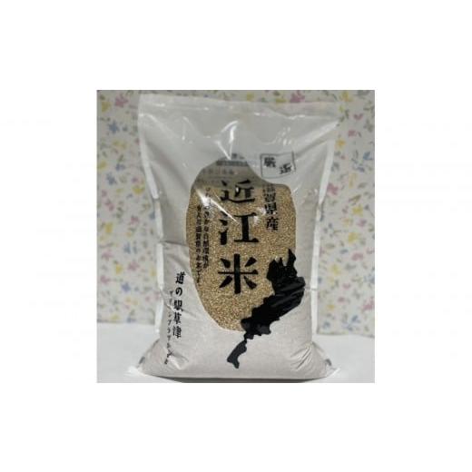 ふるさと納税 玄米 滋賀県 草津市 令和7年産 近江米コシヒカリ(玄米)5kg 玄米