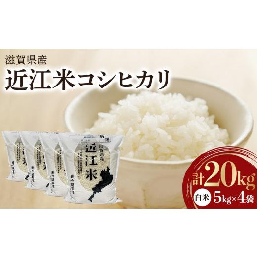 ふるさと納税 米 コシヒカリ 滋賀県 草津市 令和7年産 近江米コシヒカリ（白米）5kg×4 計20kg 白米の画像