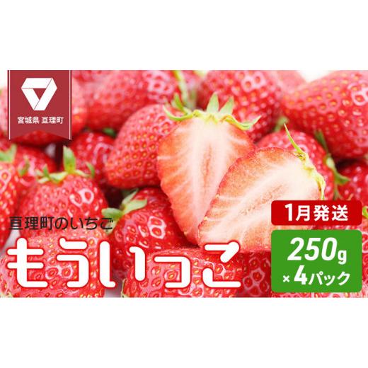 ふるさと納税 果物類 宮城県 亘理町 1月発送 亘理町のいちご もういっこ 250g×4パック オンライン決済限定 仙台いちご