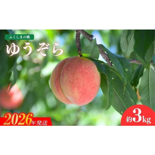 ふるさと納税 もも 福島県 福島市 No.1203福島の桃 「ゆうぞら」約3kg 2026年発送 先行予約の画像