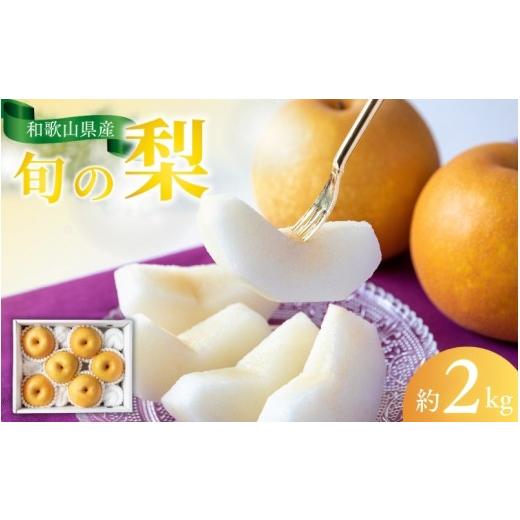 ふるさと納税 梨 和歌山県 串本町 先行予約受付 和歌山県産の美味しい梨 約2kg (6〜8玉入り) 2026年8月中旬頃から9月中旬頃に順次発送予定 mat103B