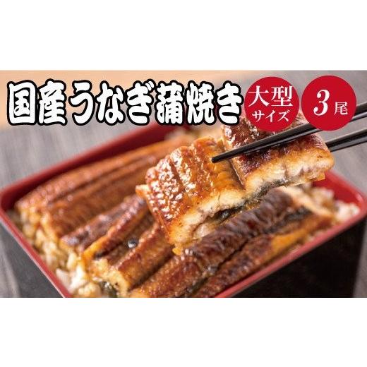 ふるさと納税 うなぎ 和歌山県 串本町 大型サイズ ふっくら柔らか 国産うなぎ蒲焼き 3尾/うなぎ ウナギ 鰻 うなぎ蒲焼 国産 uot303A-3 通常配送 1ヶ月以内に…