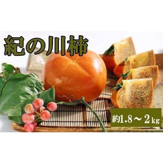 ふるさと納税 果物類 柿 和歌山県 串本町 希少 紀の川柿約1.8〜2kg(種無し)秀選品 2025年10月中旬〜2025年11月中旬頃に順次発送 tec405B