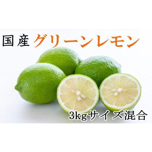 ふるさと納税 みかん・柑橘類 レモン 和歌山県 串本町 産直 和歌山産グリーンレモン約3kg(サイズ混合) 2026年10月中旬〜2026年11月上旬頃より順次発送 tec5…