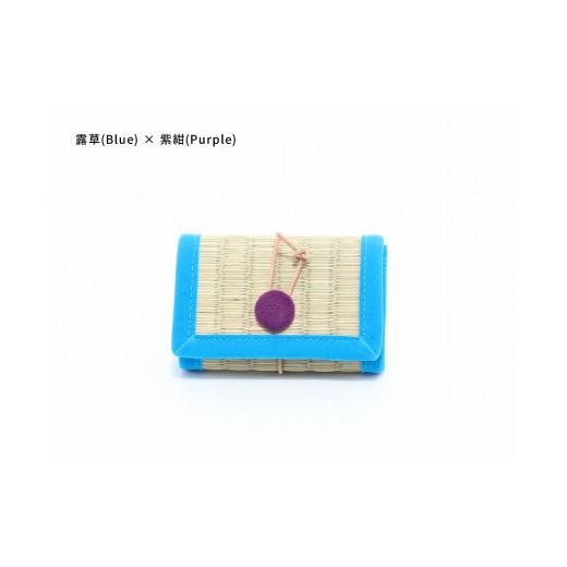 ふるさと納税 小物 和歌山県 白浜町 inoca CASE CARD 露草×紫紺 露草×紫紺