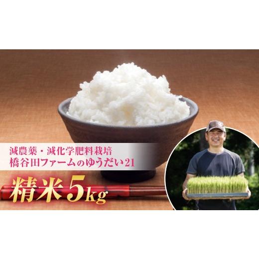 ふるさと納税 米 福島県 西会津町 令和8年産 減農薬・減化学肥料栽培 ゆうだい21 精米 5kg 米 お米 おこめ ご飯 ごはん 福島県 西会津町
