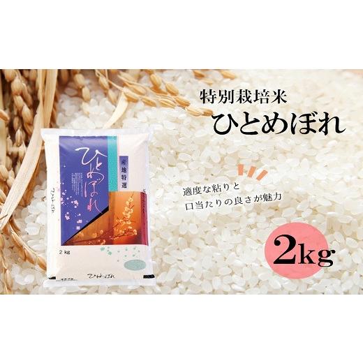 ふるさと納税 山形県 三川町 [令和5年産・精米]竹原田ファームのひとめぼれ2kg [令和5年産]