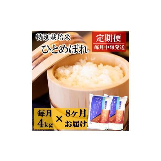 ふるさと納税 山形県 三川町 令和6年産[定期便8回]竹原田ファームのひとめぼれ4kg×8回