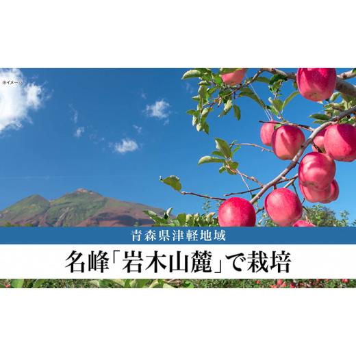 ふるさと納税 青森県 弘前市 りんごジュース RICH APPLE　飲み比べ　12本セット（250ml×12本） りんごジュース