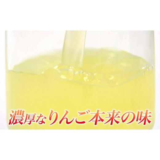 ふるさと納税 青森県 弘前市 りんごジュース RICH APPLE　飲み比べ　12本セット（250ml×12本） りんごジュース