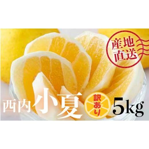 ふるさと納税 みかん・柑橘類 高知県 東洋町 先行予約 訳アリ 西内小夏 5kg N51 訳アリ 西内小夏 5kg
