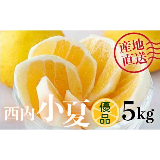 ふるさと納税 みかん・柑橘類 高知県 東洋町 先行予約 優品 西内小夏 5kg N54 優品 西内小夏 5kg