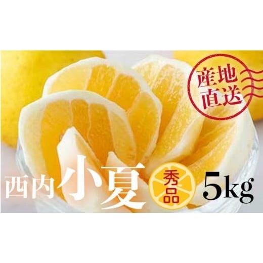 ふるさと納税 みかん・柑橘類 高知県 東洋町 秀品 西内小夏 5kg N57 秀品 西内小夏 5kg
