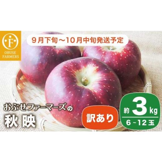ふるさと納税 りんご 長野県 小布施町 訳あり 先行受付 秋映 約3kg 6〜12玉 [おぶせファーマーズ] 不揃い 規格外 家庭用 果物 フルーツ りんご 林檎 リンゴ…