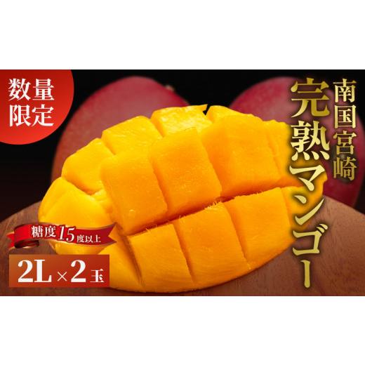 ふるさと納税 マンゴー 宮崎県 日南市 先行予約 糖度15度以上 数量限定 南国宮崎 完熟マンゴー 2L 2玉 期間限定 フルーツ スイーツ 果物 くだもの 食品 デザ…