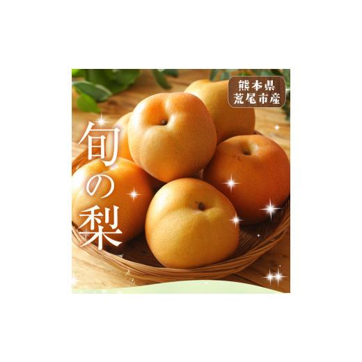 ふるさと納税 梨 熊本県 荒尾市 梨 予約 旬の梨（幸水梨 豊水梨 あきづき 甘太 新興梨 晩三吉梨 のいずれか）約 2kg （2-6玉）なし フルーツ 果物 新鮮 クール…_2