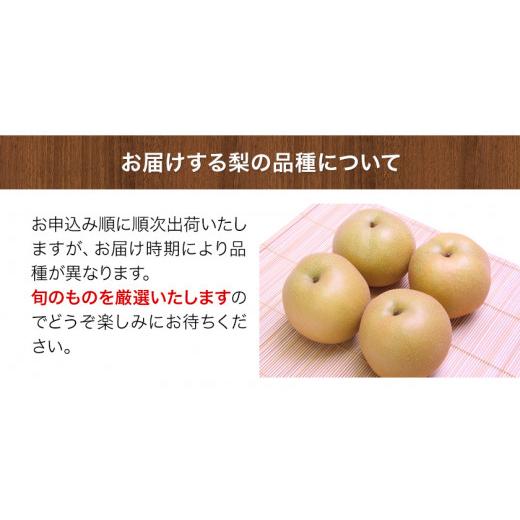 ふるさと納税 梨 熊本県 荒尾市 梨 予約 旬の梨（幸水梨 豊水梨 あきづき 甘太 新興梨 晩三吉梨 のいずれか）約 2kg （2-6玉）なし フルーツ 果物 新鮮 クール…_3