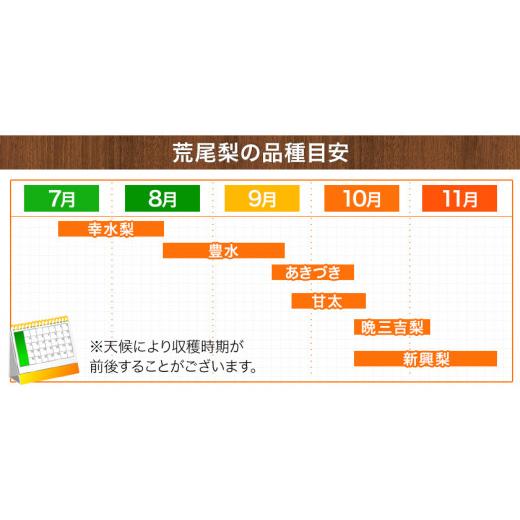 ふるさと納税 梨 熊本県 荒尾市 梨 予約 旬の梨（幸水梨 豊水梨 あきづき 甘太 新興梨 晩三吉梨 のいずれか）約 2kg （2-6玉）なし フルーツ 果物 新鮮 クール…_4