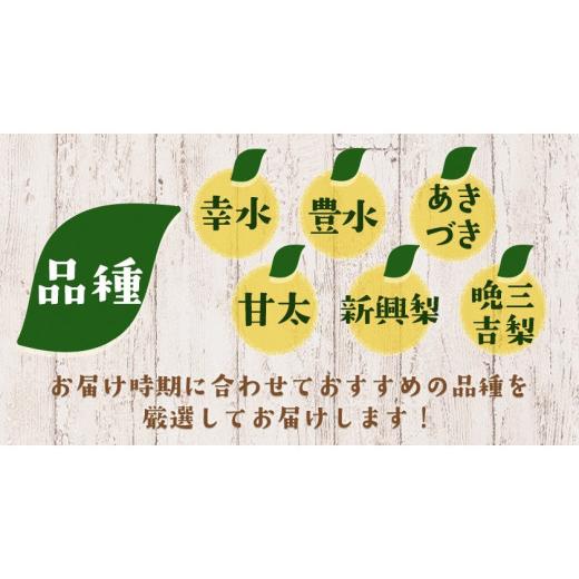 ふるさと納税 梨 熊本県 荒尾市 梨 予約 旬の梨（幸水梨 豊水梨 あきづき 甘太 新興梨 晩三吉梨 のいずれか）約 2kg （2-6玉）なし フルーツ 果物 新鮮 クール…_5