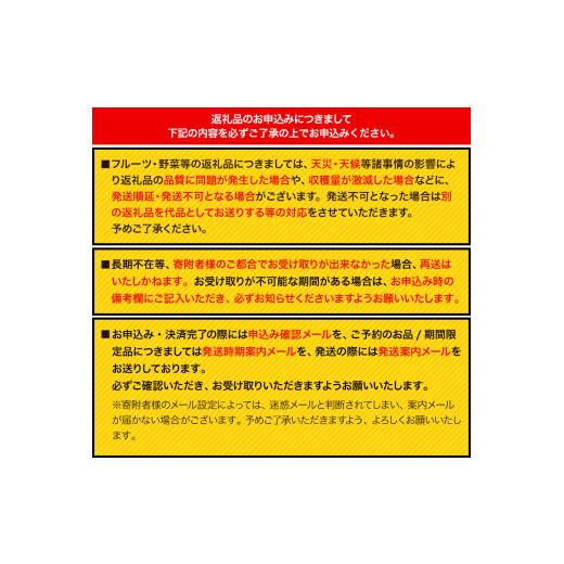 ふるさと納税 梨 熊本県 荒尾市 梨 予約 旬の梨（幸水梨 豊水梨 あきづき 甘太 新興梨 晩三吉梨 のいずれか）約 2kg （2-6玉）なし フルーツ 果物 新鮮 クール…_6