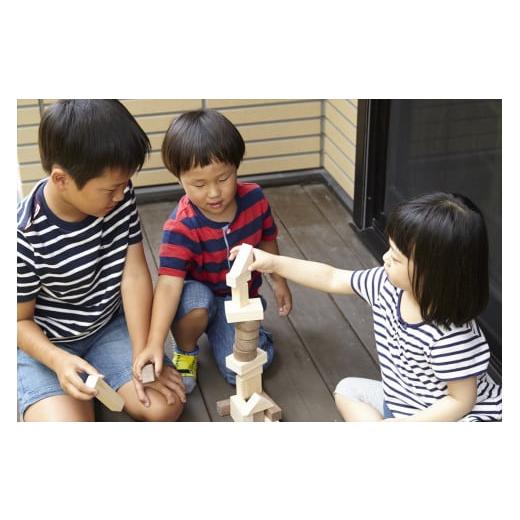 ふるさと納税 雑貨・日用品 玩具 岐阜県 中津川市 IKONIH デラックス積み木 F4N-0900の画像