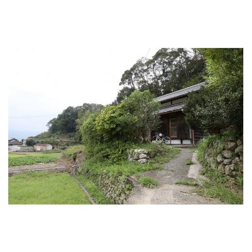 ふるさと納税 木工品・竹工品 高知県 佐川町 木から生まれたハッピーハロウィンセット 木工品 コンパクト uｍ 木工房ゆうむ かぼちゃ 飾り 装飾 halloween パ…の画像