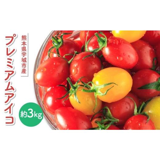 ふるさと納税 野菜類 トマト 熊本県 宇城市 ミニトマト プチトマト トマト プレミアムアイコ 約3kg 山本農園 糖度8〜10度 高糖度 アイコトマト とまと 2026年1…