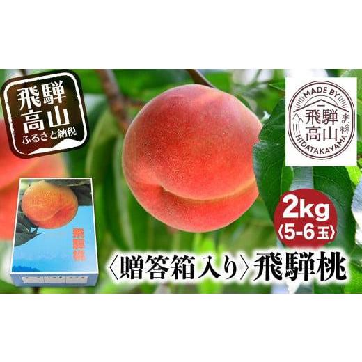 ふるさと納税 もも 岐阜県 高山市  先行受付 2026年8月発送 桃 飛騨もも 2kg 5〜6玉入り | もも モモ 飛騨高山 糖度 甘い 2キロ 果物 白鳳 昭和白桃 など 夏 …の画像