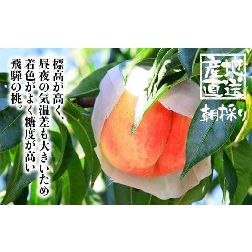 ふるさと納税 もも 岐阜県 高山市  先行受付 2026年8月発送 桃 飛騨もも 2kg 5〜6玉入り | もも モモ 飛騨高山 糖度 甘い 2キロ 果物 白鳳 昭和白桃 など 夏 …の画像