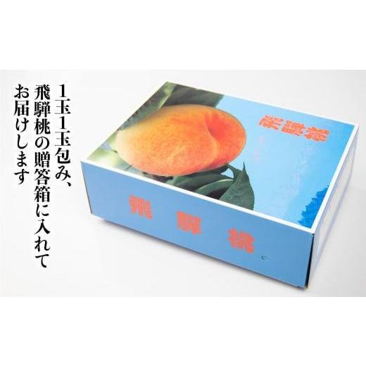 ふるさと納税 もも 岐阜県 高山市  先行受付 2026年8月発送 桃 飛騨もも 2kg 5〜6玉入り | もも モモ 飛騨高山 糖度 甘い 2キロ 果物 白鳳 昭和白桃 など 夏 …の画像