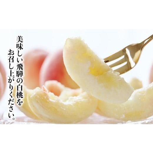 ふるさと納税 もも 岐阜県 高山市  先行受付 2026年8月発送 桃 飛騨もも 2kg 5〜6玉入り | もも モモ 飛騨高山 糖度 甘い 2キロ 果物 白鳳 昭和白桃 など 夏 …の画像
