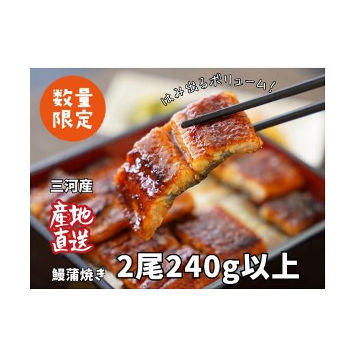 ふるさと納税 うなぎ 愛知県 西尾市 三河産うなぎ 蒲焼 [2尾(計240〜250g)]「生産者愛知養魚」がお届け・A092-12 通常発送