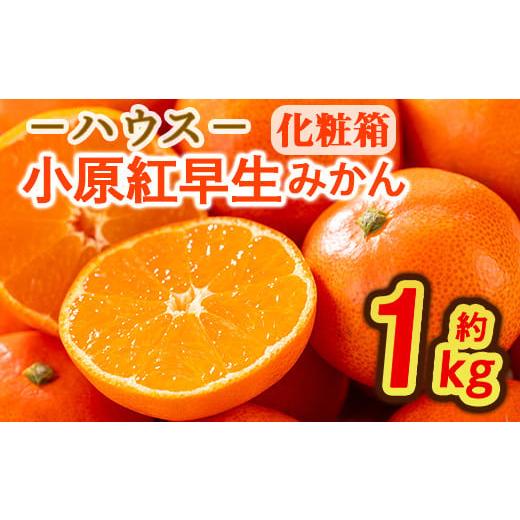 ふるさと納税 果物類 みかん 香川県 まんのう町  先行予約 2026年6月下旬以降順次発送予定 香川県産 ハウス小原紅早生みかん(約1kg／化粧箱) man072 Aglio ner… |  | 01