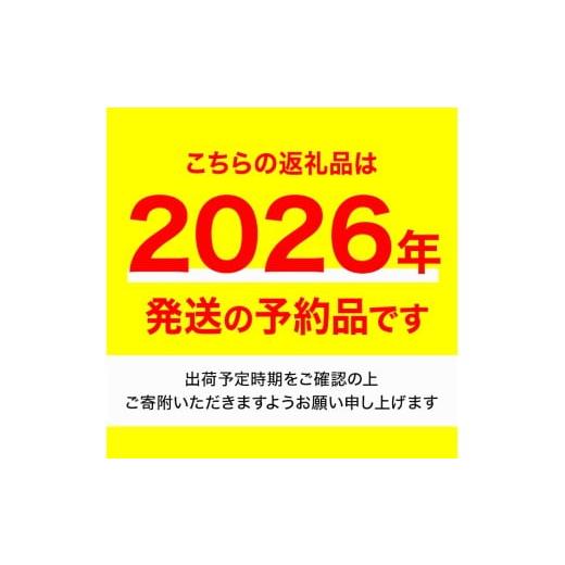 ふるさと納税 果物類 みかん 香川県 まんのう町  先行予約 2026年6月下旬以降順次発送予定 香川県産 ハウス小原紅早生みかん(約1kg／化粧箱) man072 Aglio ner… |  | 02