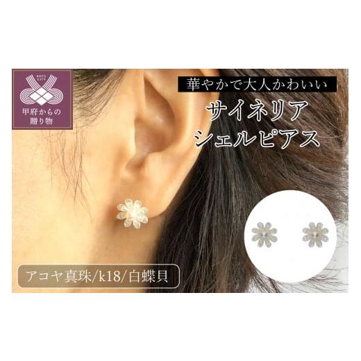 ふるさと納税 アクセサリー ピアス 山梨県 甲府市 甲府ジュエリー K18 白蝶貝 サイネリアシェルピアス/No.19