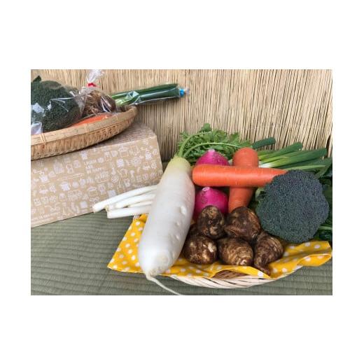 ふるさと納税 セット・詰合せ 茨城県 鹿嶋市 10ヵ月定期便 栽培期間中無農薬&減農薬 季節の野菜ハーフセット(6〜7品) 自然 健康 農薬 なし 減農薬 美味し…