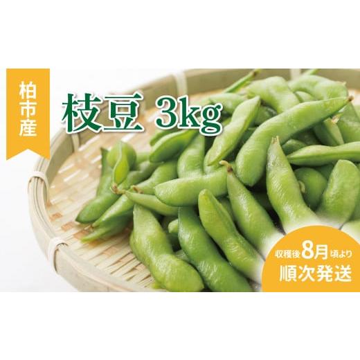 ふるさと納税 豆類 枝豆 千葉県 柏市 柏産 枝豆 3kg [先行予約 2026年8月順次発送] [ セット 野菜 国産 千葉県産 柏市産 予約 おいしい 新鮮 おつまみ 弁当…