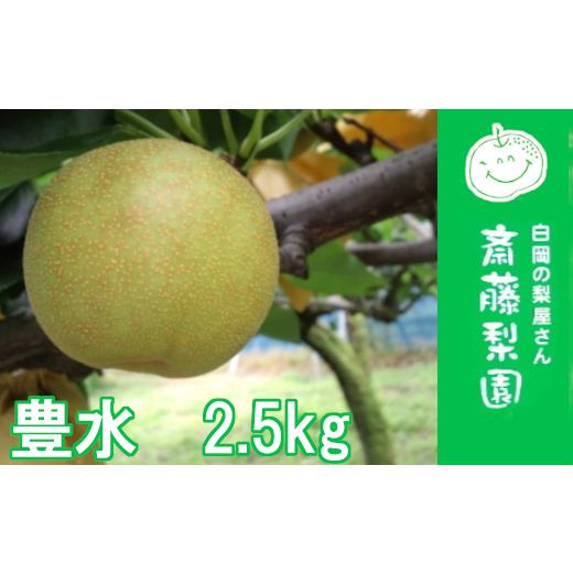 ふるさと納税 梨 埼玉県 白岡市 2026年発送分 先行予約 白岡・下野田 斎藤さんちの美味しい梨 豊水 約2.5kg