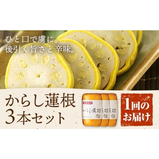ふるさと納税 人参・大根・他根菜 熊本県 菊池市 からし蓮根 セット 約280g×3本 辛子蓮根 カラシ 廣田蒲鉾店[30日以内に出荷予定(土日祝除く)]揚げたて レ…