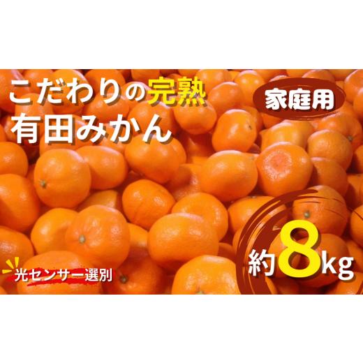 ふるさと納税 果物類 みかん 和歌山県 串本町 2025年11月発送予約分 ＼光センサー選別/農家直送 こだわりの完熟有田みかん 約8kg+250g(傷み補償分) ご家庭…
