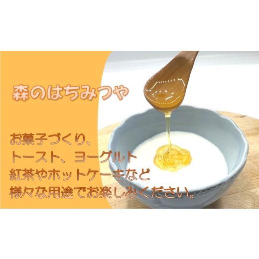 ふるさと納税 加工品等 はちみつ 埼玉県 飯能市 国産はちみつ食べ比べセット(百花とアカシア)各500g HNNBO003の画像