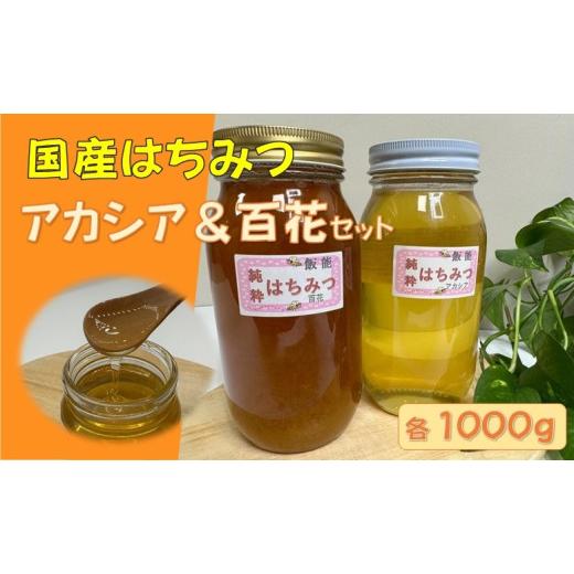 ふるさと納税 加工品等 はちみつ 埼玉県 飯能市 国産はちみつ食べ比べセット(百花とアカシア)各1000g HNNBO004の画像