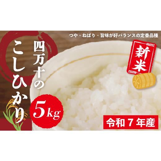 ふるさと納税 米 コシヒカリ 高知県 四万十市 米 5kg 新米 令和7年産 四万十 の こしひかり 国産 1等米 予約 コシヒカリ 精米 お米 白米 ごはん ご飯 おいしい…
