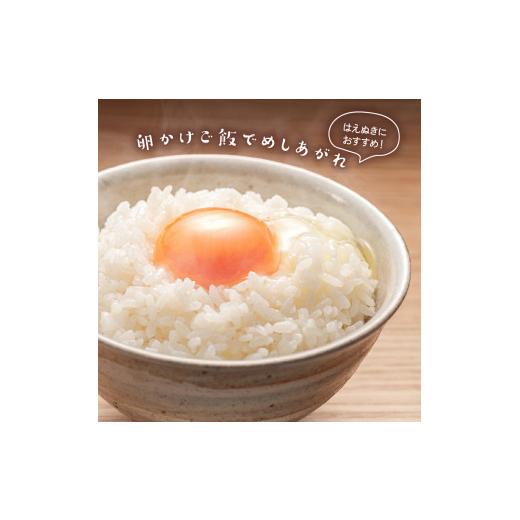 ふるさと納税 米 はえぬき 山形県 米沢市 令和7年産 はえぬき 20kg ( 5kg × 4袋 ) 精米 おうちごはん応援米 2025年産 米 白米 ブランド米 お米マイスター 厳…_3