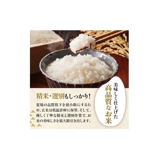 ふるさと納税 米 はえぬき 山形県 米沢市 令和7年産 はえぬき 20kg ( 5kg × 4袋 ) 精米 おうちごはん応援米 2025年産 米 白米 ブランド米 お米マイスター 厳…_7
