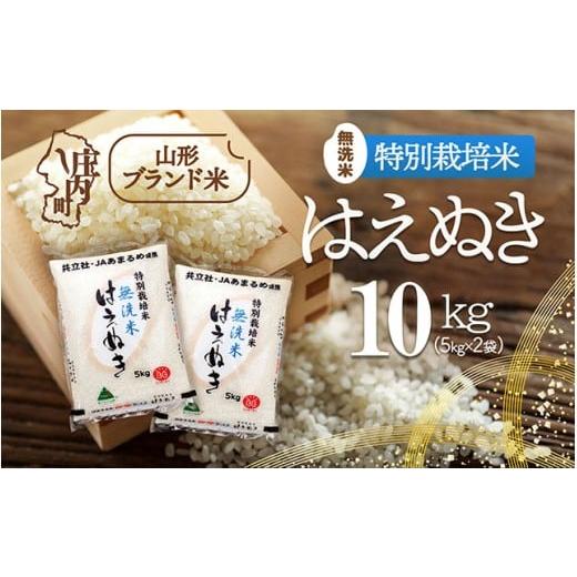ふるさと納税 米 はえぬき 山形県 庄内町 庄内町産 特別栽培米はえぬき無洗米 10kg 5kg×2袋 令和7年産 2025年産 ブランド米 コシヒカリの原点、亀の尾発祥の…