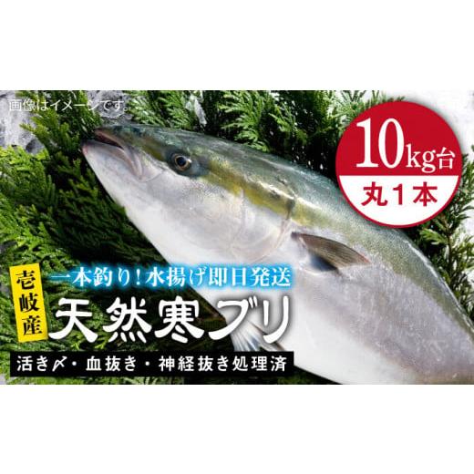 ふるさと納税 旬の鮮魚等 長崎県 壱岐市 壱岐島産天然寒ブリ(10キロ台・丸もの) [壱岐市] 壱岐島 玄海屋 JBS028 ぶり 寒ぶり ブリ 魚 刺身 しゃぶしゃぶ …