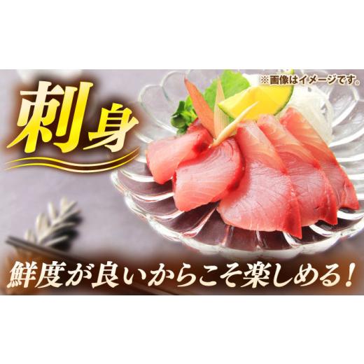 ふるさと納税 旬の鮮魚等 長崎県 壱岐市 壱岐島産天然ヒラマサ（5キロ台・丸もの） 《壱岐市》 壱岐島　玄海屋 JBS070 ヒラマサ 魚 刺身 煮物 カルパッチョ お…_5